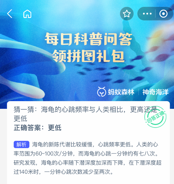 海龟的心跳频率与人类相比，更高还是更低