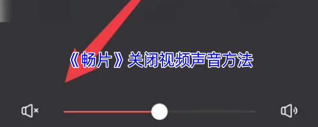 《畅片》关闭视频声音方法