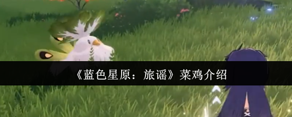 《蓝色星原：旅谣》菜鸡介绍